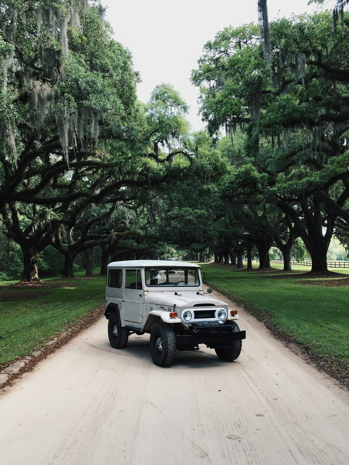 A vintage Land Cruiser on a dirt road under oak trees